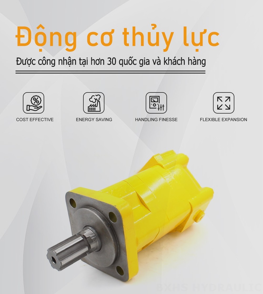 Mô-tơ thủy lực Cycloid BM5_2 100 cc/vòng 75 L/phút Mô tơ thủy lực